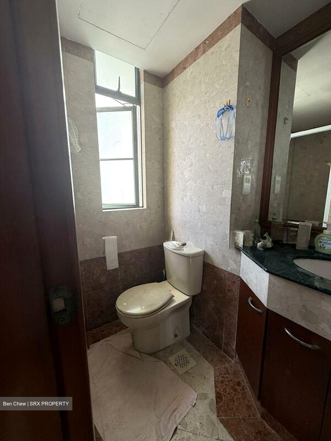 The Springbloom (D19), Condominium #512844781